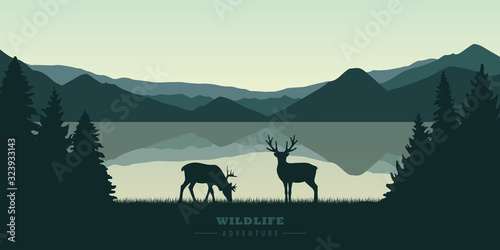 two reindeers by the lake at sunrise wildlife nature landscape vector illustration EPS10