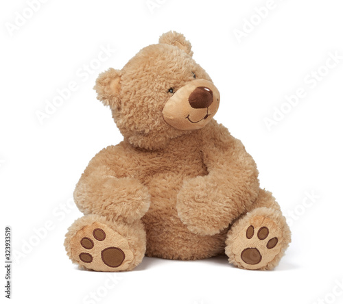 big curly brown teddy bear sits on a white isolated background photo
