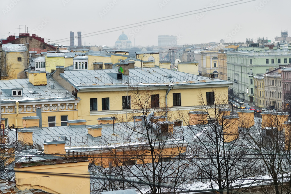 Saint Petersburg roofs of old buildings at winter. Russia