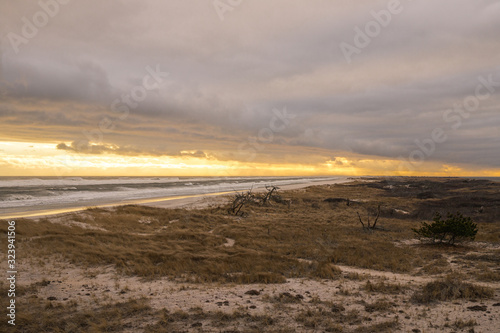 Golden Beach Sunset Landscape with Ocean