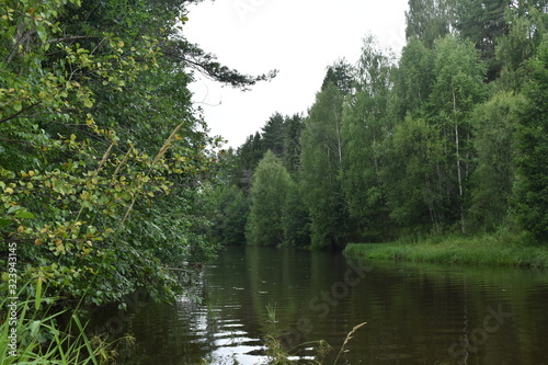 lake in forest