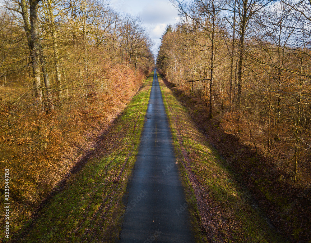 Aerial view of straight and narrow road in Amboise forest, France. Winter season.