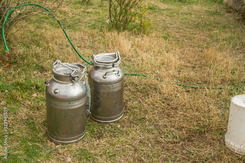 close up of steel milk churn in the middle of the green meadow next to rosemary plants