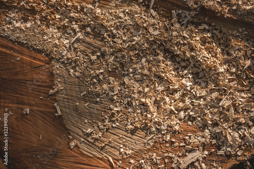 sawdust on a chopped tree photo