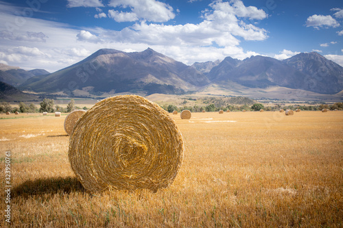 Hay bale on a field in Wyoming with mountains in the background photo