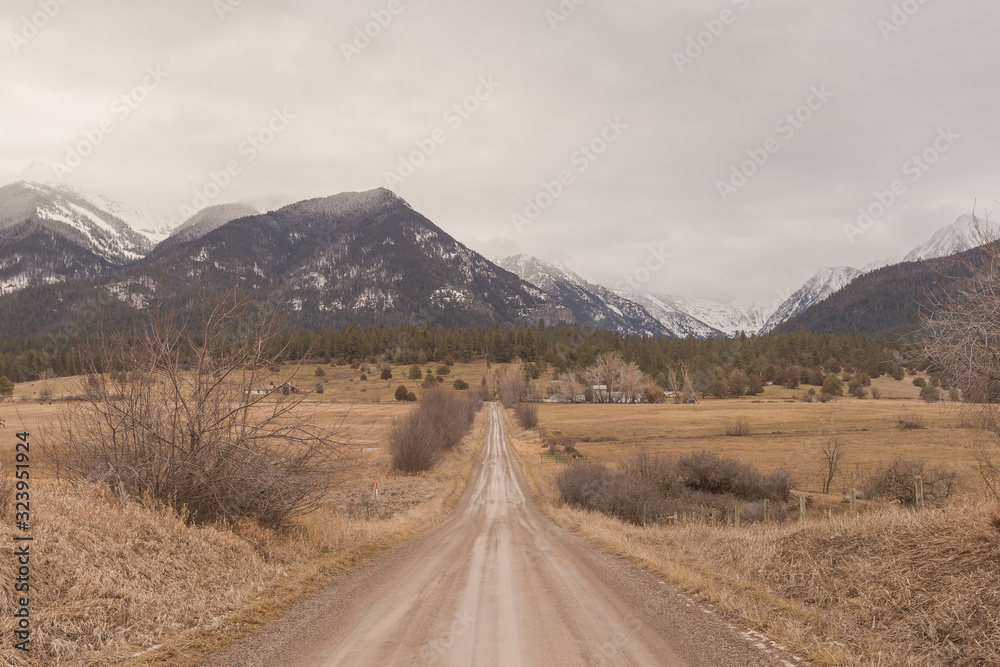 Empty dirt road cutting through pasture and leading to tall evergreen trees