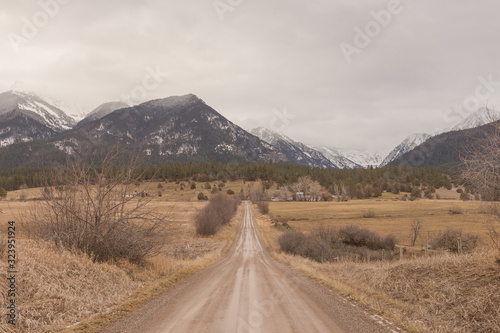 Empty dirt road cutting through pasture and leading to tall evergreen trees