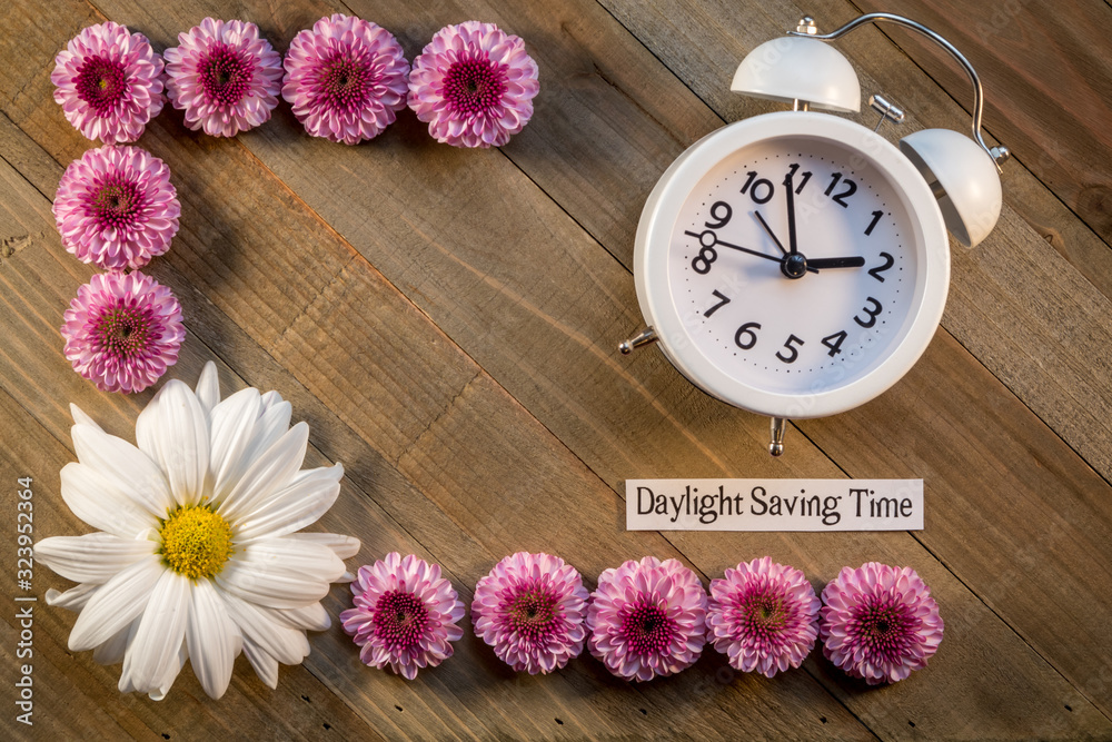 Daylight Saving Time concept with Pink Chrysanthemums and clock on wood background flat lay 