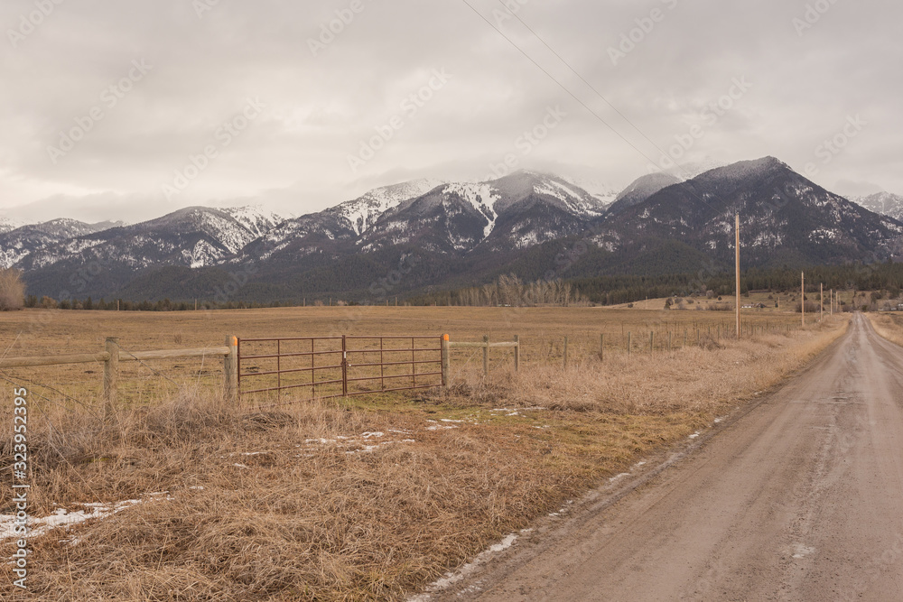 Vintage cattle fencing along a dirt road with telephone poles