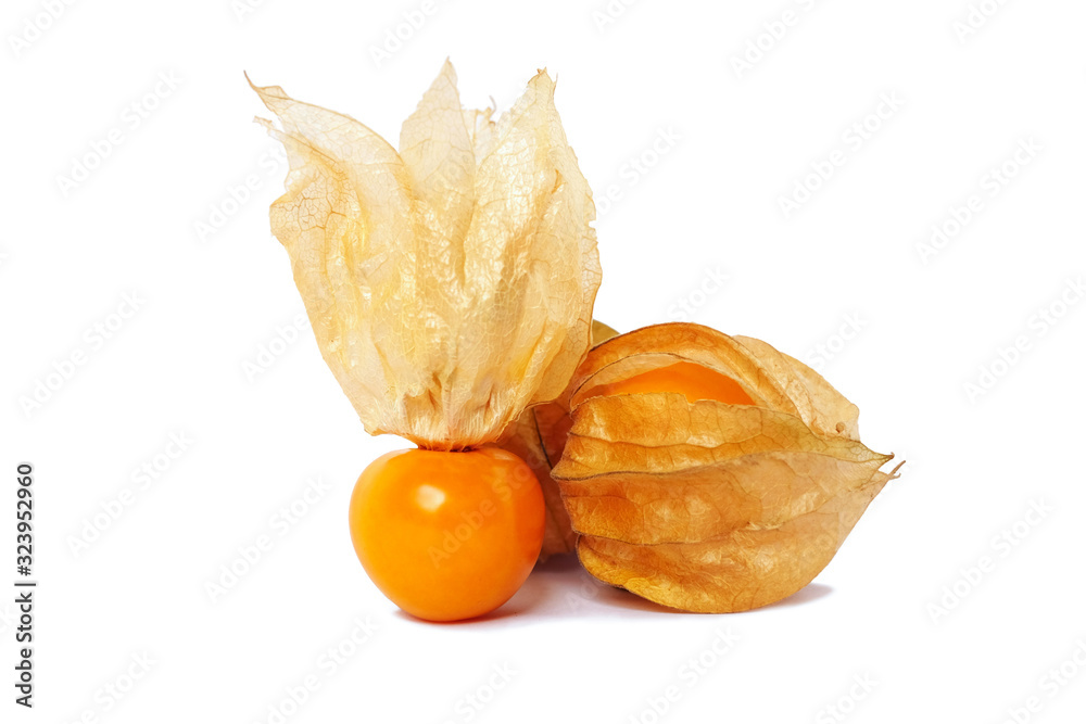 cape gooseberry isolated on white background cape gooseberry isolated on white background