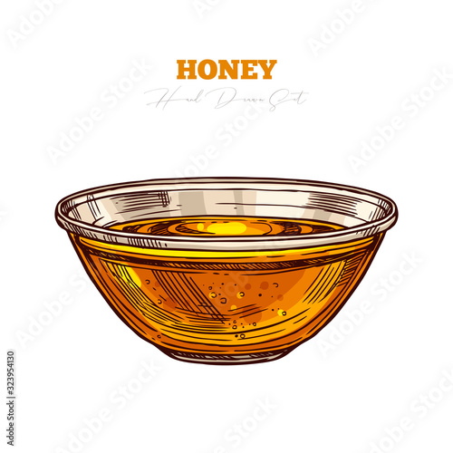 Hand drawn glass plate full of honey or jam isolated on white. Vector color sketch for beekeeping and apiculture farm. Engraving vintage illustration. Bee sweet natural product