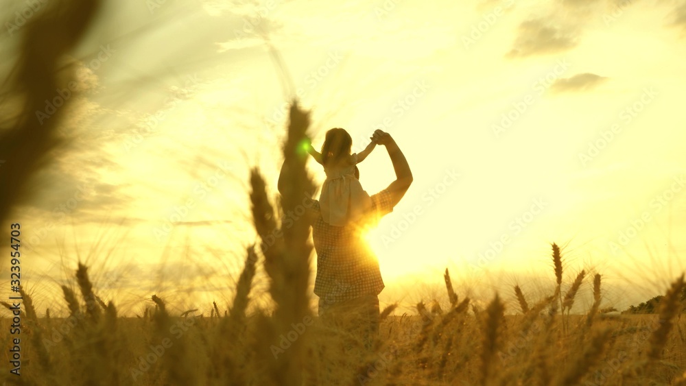 child and parent play in nature. happy family and childhood concept. Slow motion. little daughter on father's shoulders. baby boy and dad travel on a wheat field.