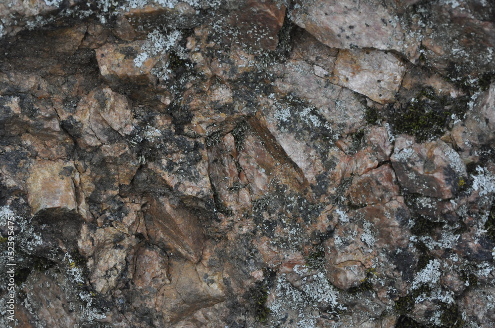 Fototapeta premium Natural Rocky Surface with Moss and Lichen Texture