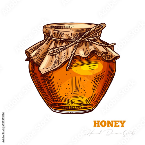 Sketch vector glass jar full of honey isolated on white. Hand drawn color glass jar full of mead. Engraving illustration for beekeeping and apiculture company and business. Bee product