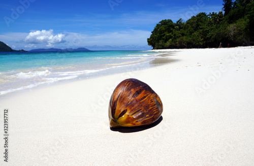 coconut on beach of molana island in saparua district in indonesia