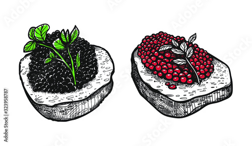 Illustration with black and red caviar. Caviar Day picture. Canapes with caviar. Food graphic drawings.