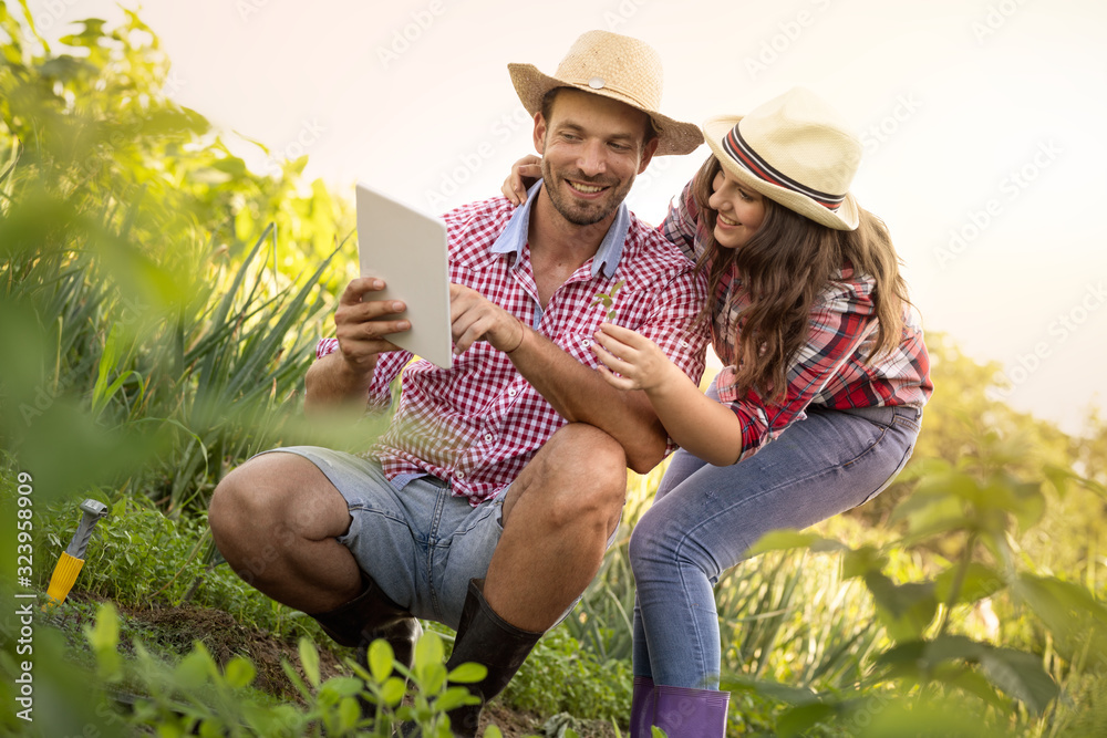 Young modern couple on field young vegetables with tablet pc