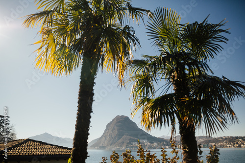 Sunny day. View on Lake Lugano, Monte Bre and Monte Boglia in the background. Lake Lugano is a glacial lake on the border between Switzerland and Italy. Palm trees. photo