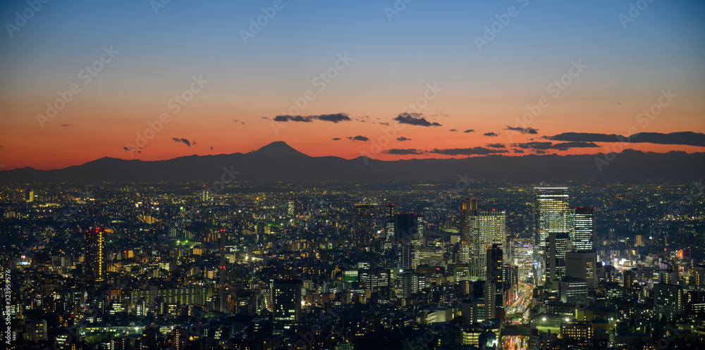 Tokyo - Outline of Mount Fuji in the background