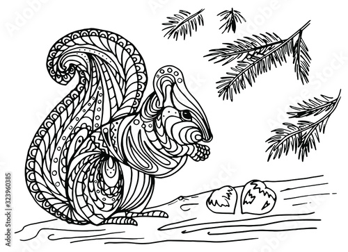 Illustration of a squirrel with nuts on a fir tree. Vector coloring book for children and adults. Beautiful drawings with patterns and small details. One of a series of coloring pictures. 