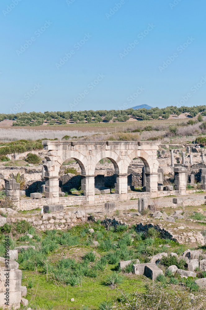Hercules Works House at Volubilis, Morocco