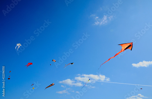 many shaped kites in the blue skies, houses and the beach