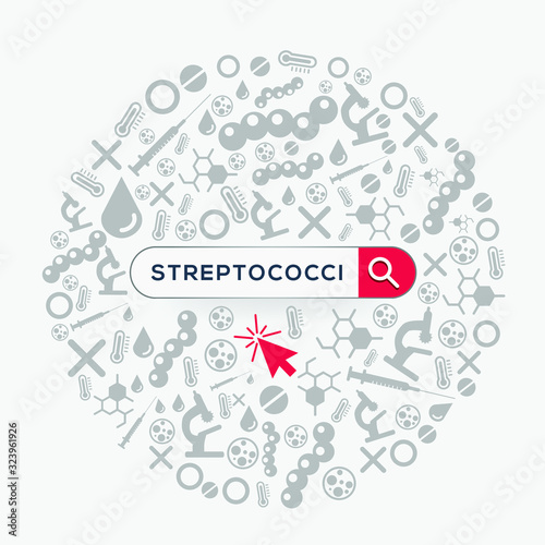 (streptococcus ) Word written in search bar,Vector illustration .