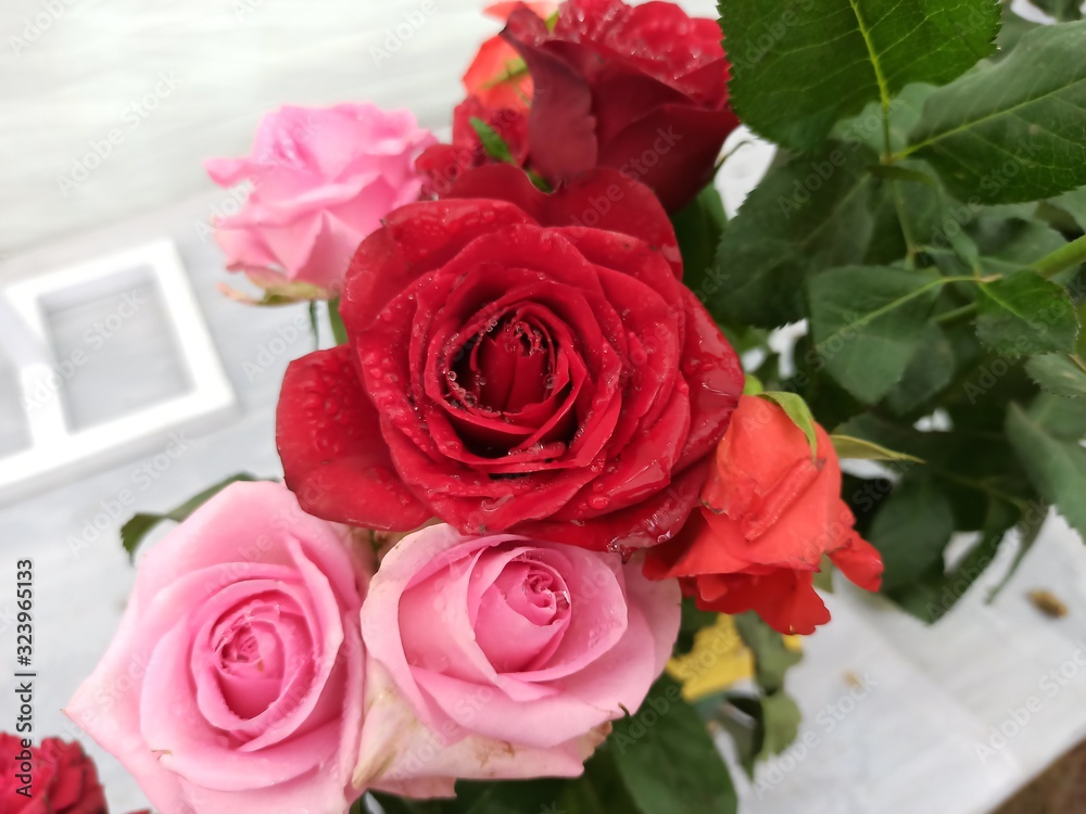 bouquet of pink and red roses