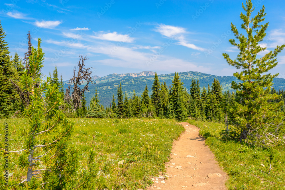 Beautiful Mountain Trail. Blackwall Peak Trail at Manning Park in British Columbia. Canada. Beautiful Mountain Trail. Blackwall Peak Trail at Manning Park in British Columbia. Canada.