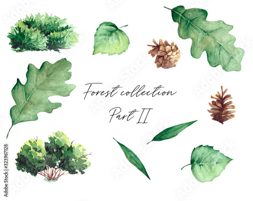 Watercolor set of forest elements isolated on white