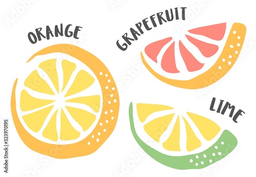 Orange, Lime and Grapefruit hand painted with ink brush