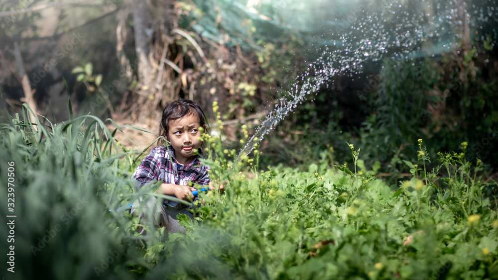 Happy cute little girl watering plants in organic garden,activities, working and gardening in outdoor,cute girl cares vegetables,agriculture Happy cute little girl watering plants in organic garden,activities, working and gardening in outdoor,cute girl cares vegetables,agriculture
