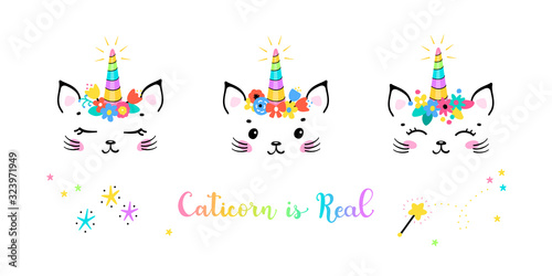 Vector Set Cute Unicorn Cat Head with Floral Wreath for Kids t-shirt Print Design. Magic Caticorn or Kittycorn Nursery Poster. Magical Kitten Face with Unicorn Horn and Flower Crown. Caticorn is Real