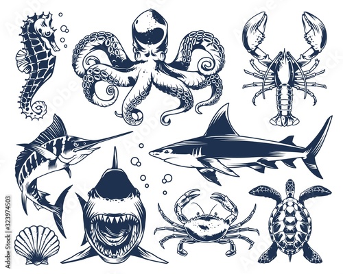 Sea animals vintage set