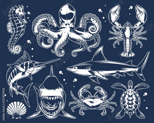 Vintage marine life composition