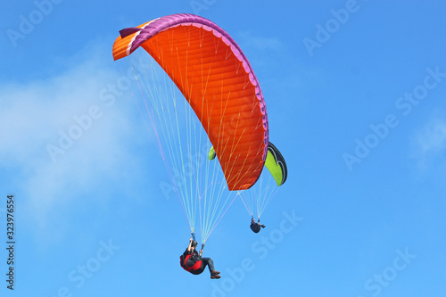 Wallpaper Mural Paraglider flying wing in a blue sky	 Torontodigital.ca