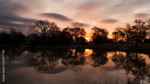 Sunrise reflections © Tamara  Harding