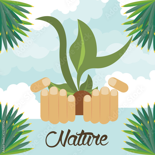 hands lifitng plant ecology cultivating