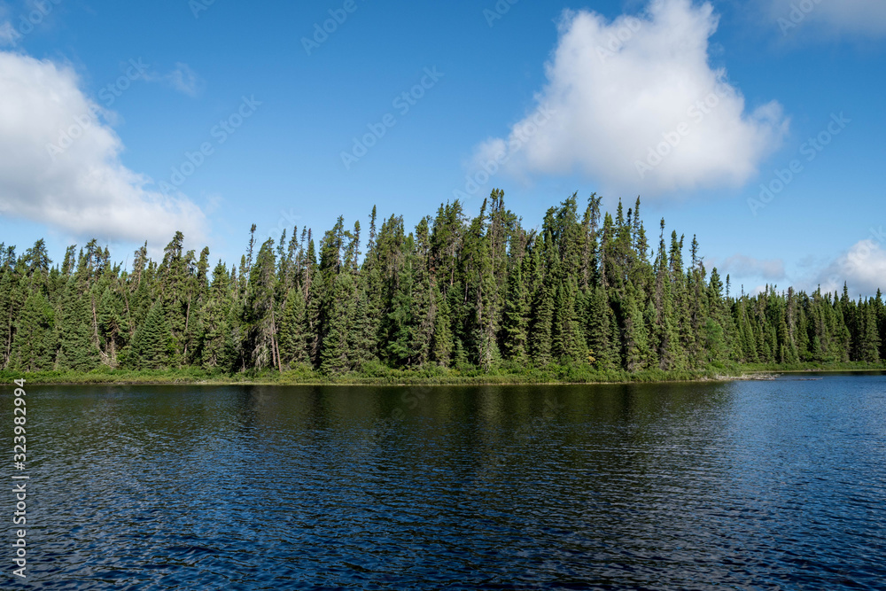 landscape of the gaspésie in Quebec. Photograph of a lake with trees in summer