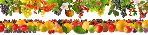 Fototapeta Naklejka Na Ścianę i Meble -  closeup image of a large variety of fruits on a white background