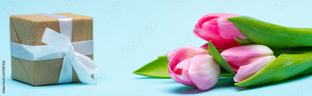 Panoramic shot of gift box with bow and pink tulips on blue background, panoramic shot Panoramic shot of gift box with bow and pink tulips on blue background, panoramic shot
