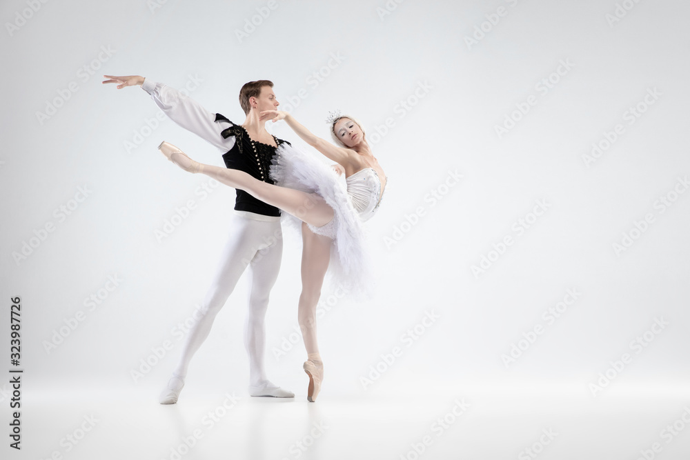 Holding. Graceful classic ballet dancers dancing isolated on white studio background. Couple in tender white clothes like a white swan characters. The grace, artist, movement, action and motion