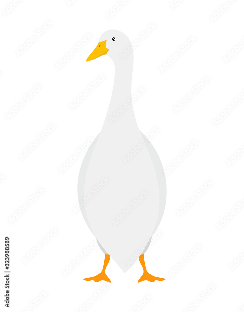 Fototapeta premium cute goose isolated