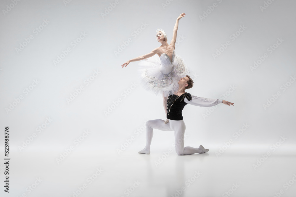 Wings. Graceful classic ballet dancers dancing isolated on white studio background. Couple in tender white clothes like a white swan characters. The grace, artist, movement, action and motion concept.