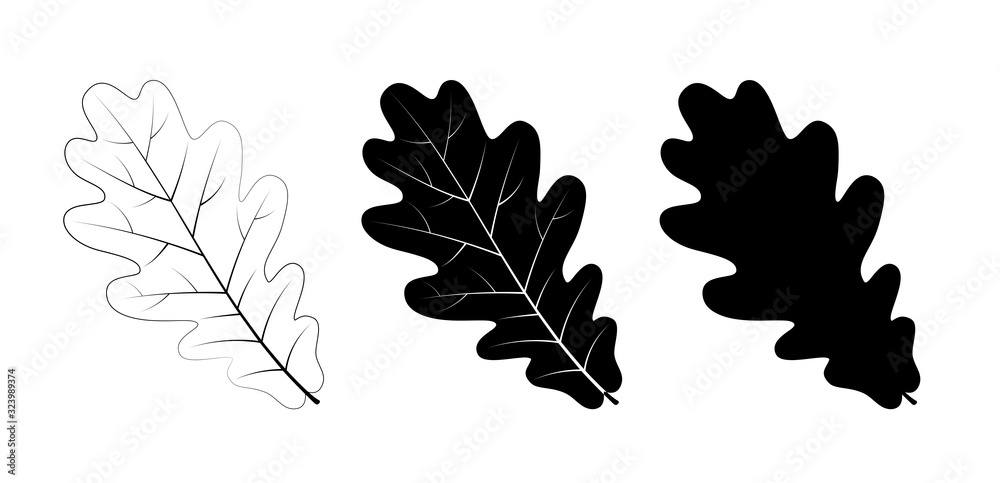 Vector set of oak leaves, outline and silhouette. - obrazy, fototapety, plakaty 