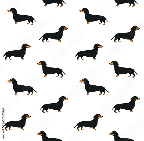 Vector seamless pattern of hand drawn doodle sketch colored dachshund dog isolated on white background