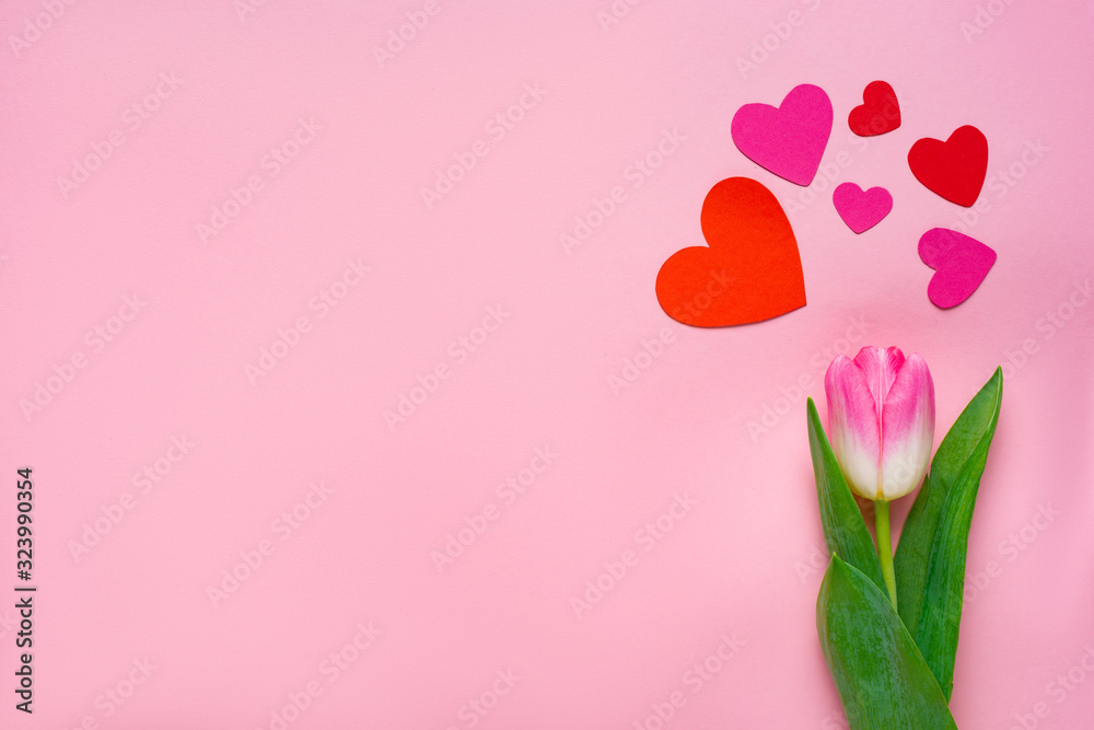 Top view of paper hearts and tulip on pink background with copy space