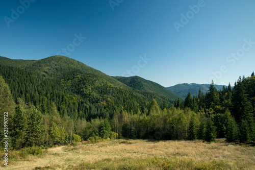 summer Carpathian mountains green hills foliage highland landscape national park nature scenic view © Артём Князь