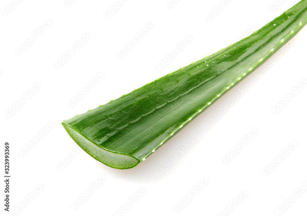 Aloe vera plant isolated on white background. Aloe vera plant isolated on white background.