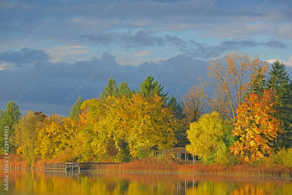 Autumn landscape at sunrise of the shoreline of Whitford Lake with reflections in calm water, Fort Custer State Park, Michigan, USA